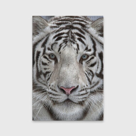 Обложка для паспорта матовая кожа с принтом Бенгальский тигр в Екатеринбурге, натуральная матовая кожа | размер 19,3 х 13,7 см; прозрачные пластиковые крепления | tiger | белый | дикая кошка | тигр | хищник