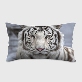 Подушка 3D антистресс с принтом Бенгальский тигр в Екатеринбурге, наволочка — 100% полиэстер, наполнитель — вспененный полистирол | состоит из подушки и наволочки на молнии | tiger | белый | дикая кошка | тигр | хищник