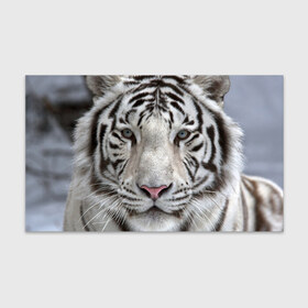Бумага для упаковки 3D с принтом Бенгальский тигр в Екатеринбурге, пластик и полированная сталь | круглая форма, металлическое крепление в виде кольца | tiger | белый | дикая кошка | тигр | хищник