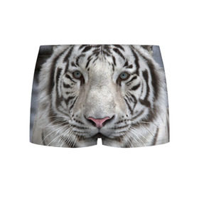 Мужские трусы 3D с принтом Бенгальский тигр в Екатеринбурге, 50% хлопок, 50% полиэстер | классическая посадка, на поясе мягкая тканевая резинка | Тематика изображения на принте: tiger | белый | дикая кошка | тигр | хищник