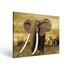 Холст прямоугольный с принтом Могучий слон в Екатеринбурге, 100% ПВХ |  | elephant | африка | бивни | джунгли | мамонт | савана | сафари | слон | хобот