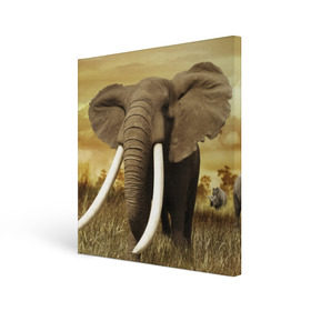 Холст квадратный с принтом Могучий слон в Екатеринбурге, 100% ПВХ |  | elephant | африка | бивни | джунгли | мамонт | савана | сафари | слон | хобот