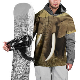 Накидка на куртку 3D с принтом Могучий слон в Екатеринбурге, 100% полиэстер |  | elephant | африка | бивни | джунгли | мамонт | савана | сафари | слон | хобот