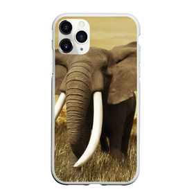 Чехол для iPhone 11 Pro матовый с принтом Могучий слон в Екатеринбурге, Силикон |  | elephant | африка | бивни | джунгли | мамонт | савана | сафари | слон | хобот