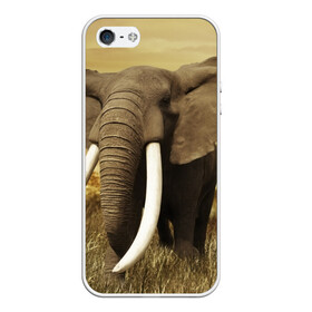 Чехол для iPhone 5/5S матовый с принтом Могучий слон в Екатеринбурге, Силикон | Область печати: задняя сторона чехла, без боковых панелей | elephant | африка | бивни | джунгли | мамонт | савана | сафари | слон | хобот