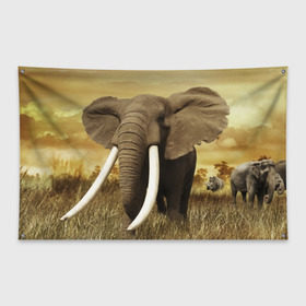Флаг-баннер с принтом Могучий слон в Екатеринбурге, 100% полиэстер | размер 67 х 109 см, плотность ткани — 95 г/м2; по краям флага есть четыре люверса для крепления | elephant | африка | бивни | джунгли | мамонт | савана | сафари | слон | хобот