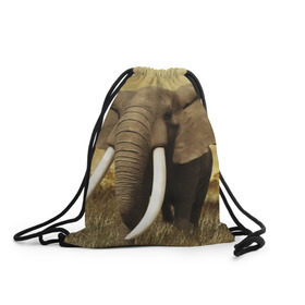 Рюкзак-мешок 3D с принтом Могучий слон в Екатеринбурге, 100% полиэстер | плотность ткани — 200 г/м2, размер — 35 х 45 см; лямки — толстые шнурки, застежка на шнуровке, без карманов и подкладки | elephant | африка | бивни | джунгли | мамонт | савана | сафари | слон | хобот