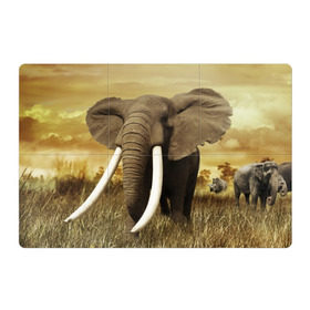 Магнитный плакат 3Х2 с принтом Могучий слон в Екатеринбурге, Полимерный материал с магнитным слоем | 6 деталей размером 9*9 см | elephant | африка | бивни | джунгли | мамонт | савана | сафари | слон | хобот