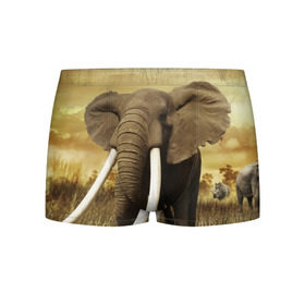 Мужские трусы 3D с принтом Могучий слон в Екатеринбурге, 50% хлопок, 50% полиэстер | классическая посадка, на поясе мягкая тканевая резинка | elephant | африка | бивни | джунгли | мамонт | савана | сафари | слон | хобот