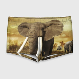 Мужские купальные плавки 3D с принтом Могучий слон в Екатеринбурге, Полиэстер 85%, Спандекс 15% |  | elephant | африка | бивни | джунгли | мамонт | савана | сафари | слон | хобот