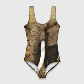 Купальник-боди 3D с принтом Могучий слон в Екатеринбурге, 82% полиэстер, 18% эластан | Круглая горловина, круглый вырез на спине | elephant | африка | бивни | джунгли | мамонт | савана | сафари | слон | хобот