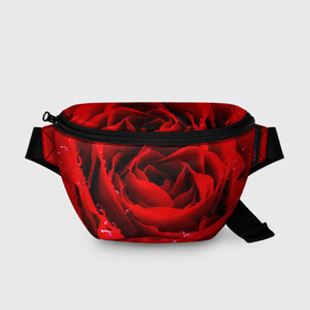 Поясная сумка 3D с принтом Роза в Екатеринбурге, 100% полиэстер | плотная ткань, ремень с регулируемой длиной, внутри несколько карманов для мелочей, основное отделение и карман с обратной стороны сумки застегиваются на молнию | роза | розовая | розы | романтика | цветы