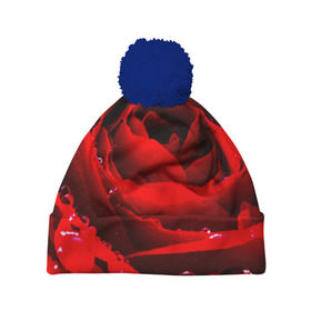 Шапка 3D c помпоном с принтом Роза в Екатеринбурге, 100% полиэстер | универсальный размер, печать по всей поверхности изделия | роза | розовая | розы | романтика | цветы