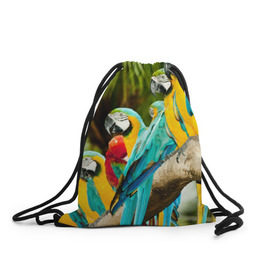Рюкзак-мешок 3D с принтом Попугаи на ветке в Екатеринбурге, 100% полиэстер | плотность ткани — 200 г/м2, размер — 35 х 45 см; лямки — толстые шнурки, застежка на шнуровке, без карманов и подкладки | джунгли | клюв | острова | перья | попугай | птица | тропики | экзотика