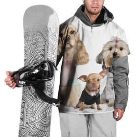 Накидка на куртку 3D с принтом Дивные собачки в Екатеринбурге, 100% полиэстер |  | Тематика изображения на принте: весёлый | животное | зверёк | игривый | классный | красивый | лучший друг человека | любимец | милый | охрана | пёс | питомец | прикольный | смешной | собака | собачонка | ум | щенок | щеночек
