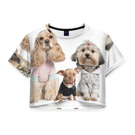 Женская футболка 3D укороченная с принтом Дивные собачки в Екатеринбурге, 100% полиэстер | круглая горловина, длина футболки до линии талии, рукава с отворотами | Тематика изображения на принте: весёлый | животное | зверёк | игривый | классный | красивый | лучший друг человека | любимец | милый | охрана | пёс | питомец | прикольный | смешной | собака | собачонка | ум | щенок | щеночек