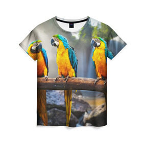 Женская футболка 3D с принтом Экзотические попугаи в Екатеринбурге, 100% полиэфир ( синтетическое хлопкоподобное полотно) | прямой крой, круглый вырез горловины, длина до линии бедер | джунгли | клюв | острова | перья | попугай | птица | тропики | экзотика