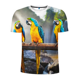 Мужская футболка 3D спортивная с принтом Экзотические попугаи в Екатеринбурге, 100% полиэстер с улучшенными характеристиками | приталенный силуэт, круглая горловина, широкие плечи, сужается к линии бедра | джунгли | клюв | острова | перья | попугай | птица | тропики | экзотика