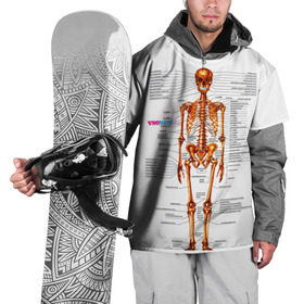 Накидка на куртку 3D с принтом Шпаргалки в Екатеринбурге, 100% полиэстер |  | Тематика изображения на принте: шпаргалка