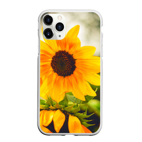Чехол для iPhone 11 Pro матовый с принтом Подсолнухи в Екатеринбурге, Силикон |  | лето | подсолнух | солнце | цветы