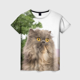 Женская футболка 3D с принтом Пушистый кот в Екатеринбурге, 100% полиэфир ( синтетическое хлопкоподобное полотно) | прямой крой, круглый вырез горловины, длина до линии бедер | 