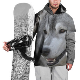 Накидка на куртку 3D с принтом Хаски в Екатеринбурге, 100% полиэстер |  | собака | собаки | хаски