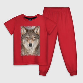 Детская пижама хлопок с принтом Волк (retro style) в Екатеринбурге, 100% хлопок |  брюки и футболка прямого кроя, без карманов, на брюках мягкая резинка на поясе и по низу штанин
 | retro style | wolf | ветошь | взгляд | винтаж | волк | волчара | добыча | жертва | животное | зверь | лик | опасность | охотник | потёртости | санитар леса | серый | старина | хищник | царапины
