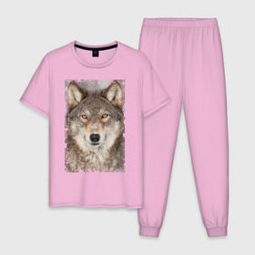 Мужская пижама хлопок с принтом Волк (retro style) в Екатеринбурге, 100% хлопок | брюки и футболка прямого кроя, без карманов, на брюках мягкая резинка на поясе и по низу штанин
 | retro style | wolf | ветошь | взгляд | винтаж | волк | волчара | добыча | жертва | животное | зверь | лик | опасность | охотник | потёртости | санитар леса | серый | старина | хищник | царапины