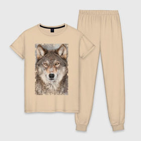 Женская пижама хлопок с принтом Волк (retro style) в Екатеринбурге, 100% хлопок | брюки и футболка прямого кроя, без карманов, на брюках мягкая резинка на поясе и по низу штанин | retro style | wolf | ветошь | взгляд | винтаж | волк | волчара | добыча | жертва | животное | зверь | лик | опасность | охотник | потёртости | санитар леса | серый | старина | хищник | царапины