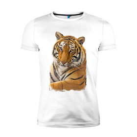 Мужская футболка премиум с принтом Тигр (retro style) в Екатеринбурге, 92% хлопок, 8% лайкра | приталенный силуэт, круглый вырез ворота, длина до линии бедра, короткий рукав | tiger | дикая кошка | тигр | хищник