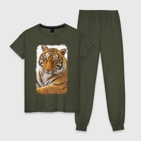 Женская пижама хлопок с принтом Тигр (retro style) в Екатеринбурге, 100% хлопок | брюки и футболка прямого кроя, без карманов, на брюках мягкая резинка на поясе и по низу штанин | Тематика изображения на принте: tiger | дикая кошка | тигр | хищник