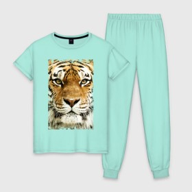 Женская пижама хлопок с принтом Тигр (retro style) в Екатеринбурге, 100% хлопок | брюки и футболка прямого кроя, без карманов, на брюках мягкая резинка на поясе и по низу штанин | tiger | дикая кошка | тигр | хищник