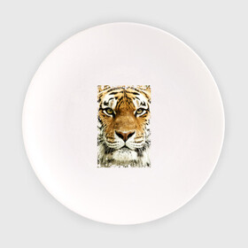 Тарелка с принтом Тигр (retro style) в Екатеринбурге, фарфор | диаметр - 210 мм
диаметр для нанесения принта - 120 мм | Тематика изображения на принте: tiger | дикая кошка | тигр | хищник