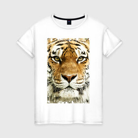 Женская футболка хлопок с принтом Тигр (retro style) в Екатеринбурге, 100% хлопок | прямой крой, круглый вырез горловины, длина до линии бедер, слегка спущенное плечо | tiger | дикая кошка | тигр | хищник