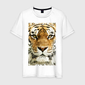 Мужская футболка хлопок с принтом Тигр (retro style) в Екатеринбурге, 100% хлопок | прямой крой, круглый вырез горловины, длина до линии бедер, слегка спущенное плечо. | Тематика изображения на принте: tiger | дикая кошка | тигр | хищник