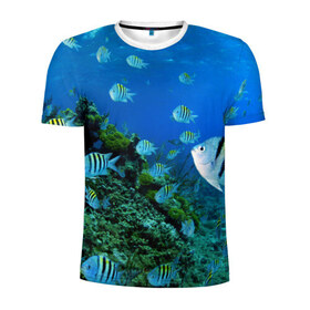 Мужская футболка 3D спортивная с принтом Подводный мир в Екатеринбурге, 100% полиэстер с улучшенными характеристиками | приталенный силуэт, круглая горловина, широкие плечи, сужается к линии бедра | дно | океан | природа | рыбки