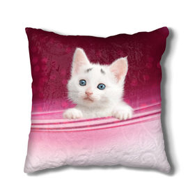 Подушка 3D с принтом Белый котёнок в Екатеринбурге, наволочка – 100% полиэстер, наполнитель – холлофайбер (легкий наполнитель, не вызывает аллергию). | состоит из подушки и наволочки. Наволочка на молнии, легко снимается для стирки | киска | кот | котёнок | кошка | прикольные картинки