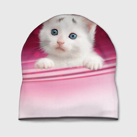 Шапка 3D с принтом Белый котёнок в Екатеринбурге, 100% полиэстер | универсальный размер, печать по всей поверхности изделия | киска | кот | котёнок | кошка | прикольные картинки
