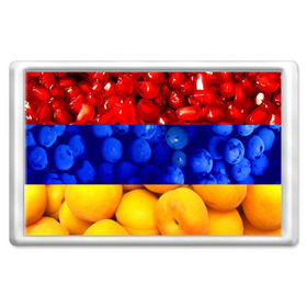Магнит 45*70 с принтом Флаг Армении в Екатеринбурге, Пластик | Размер: 78*52 мм; Размер печати: 70*45 | Тематика изображения на принте: армения | гранат | персик | слива | страны | флаг армении | фрукты