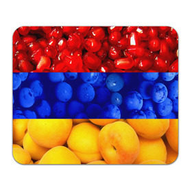 Коврик прямоугольный с принтом Флаг Армении в Екатеринбурге, натуральный каучук | размер 230 х 185 мм; запечатка лицевой стороны | Тематика изображения на принте: армения | гранат | персик | слива | страны | флаг армении | фрукты