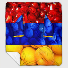 Плед с рукавами с принтом Флаг Армении в Екатеринбурге, 100% полиэстер | Закругленные углы, все края обработаны. Ткань не мнется и не растягивается. Размер 170*145 | армения | гранат | персик | слива | страны | флаг армении | фрукты