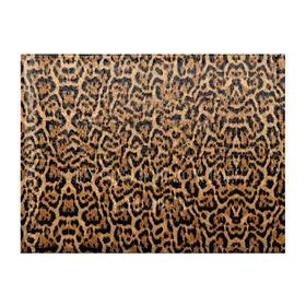 Обложка для студенческого билета с принтом Jaguar в Екатеринбурге, натуральная кожа | Размер: 11*8 см; Печать на всей внешней стороне | Тематика изображения на принте: оцелот | пума | текстура | ягуар