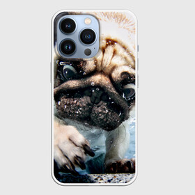Чехол для iPhone 13 Pro с принтом Мопс в Екатеринбурге,  |  | animal | breed | bubbles | diving | dog | eyes bulging | pug | water | вода | выпученные | глаза | животное | мопс | ныряет | порода | пузыри | собака