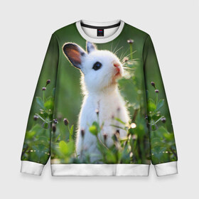 Детский свитшот 3D с принтом Кролик в Екатеринбурге, 100% полиэстер | свободная посадка, прямой крой, мягкая тканевая резинка на рукавах и понизу свитшота | animal | baby | cute | flowers | fluffy | hare | lawn | little | meadow | rabbit | животное | заяц | кролик | луг | лужайка | маленький | малыш | милый | пушистый | цветы