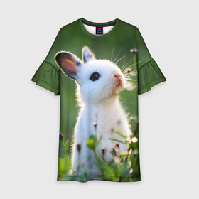 Детское платье 3D с принтом Кролик в Екатеринбурге, 100% полиэстер | прямой силуэт, чуть расширенный к низу. Круглая горловина, на рукавах — воланы | Тематика изображения на принте: animal | baby | cute | flowers | fluffy | hare | lawn | little | meadow | rabbit | животное | заяц | кролик | луг | лужайка | маленький | малыш | милый | пушистый | цветы