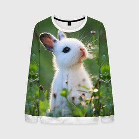 Мужской свитшот 3D с принтом Кролик в Екатеринбурге, 100% полиэстер с мягким внутренним слоем | круглый вырез горловины, мягкая резинка на манжетах и поясе, свободная посадка по фигуре | animal | baby | cute | flowers | fluffy | hare | lawn | little | meadow | rabbit | животное | заяц | кролик | луг | лужайка | маленький | малыш | милый | пушистый | цветы