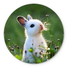 Коврик круглый с принтом Кролик в Екатеринбурге, резина и полиэстер | круглая форма, изображение наносится на всю лицевую часть | animal | baby | cute | flowers | fluffy | hare | lawn | little | meadow | rabbit | животное | заяц | кролик | луг | лужайка | маленький | малыш | милый | пушистый | цветы