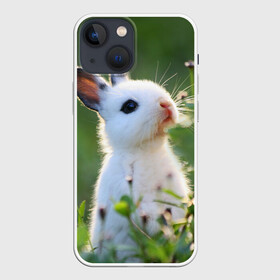 Чехол для iPhone 13 mini с принтом Кролик в Екатеринбурге,  |  | animal | baby | cute | flowers | fluffy | hare | lawn | little | meadow | rabbit | животное | заяц | кролик | луг | лужайка | маленький | малыш | милый | пушистый | цветы
