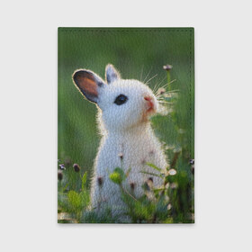 Обложка для автодокументов с принтом Кролик в Екатеринбурге, натуральная кожа |  размер 19,9*13 см; внутри 4 больших “конверта” для документов и один маленький отдел — туда идеально встанут права | animal | baby | cute | flowers | fluffy | hare | lawn | little | meadow | rabbit | животное | заяц | кролик | луг | лужайка | маленький | малыш | милый | пушистый | цветы