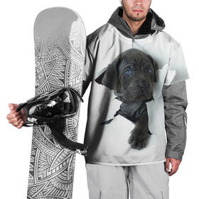 Накидка на куртку 3D с принтом щенок Кане Корсо в Екатеринбурге, 100% полиэстер |  | Тематика изображения на принте: animal | black | break | breed | dog | kid | paper | puppy | tear | torn | дог | животное | малыш | порода | прорыв | разрыв | рваная | собака | черный | щенок